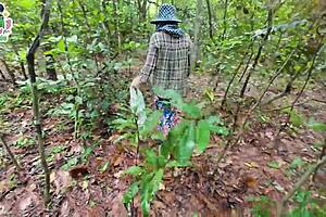 Thai teen gets lost in forest, ends up horny and fucking wildly. She's the cute girl next door type, riding in nature passionately.