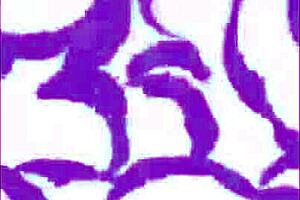 Black Babe With Big Ass And Natural Tits Gets Missionary Pussy Fuck From Husband In Parody