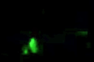 Big-ass stepmom, want to join latina fun with stepson on halloween since dad left?