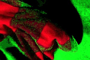 Stepmom's Perfect Big Ass Teaches Stepson Wet Pussy Riding Lessons!