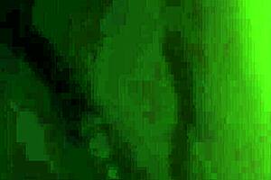 Carmen cavernati shares her casual home video chat