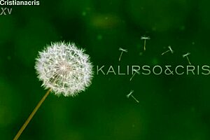 little red riding hood heads into the woods alone