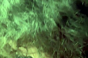 ever seen a pretty hooker fucked public on her period with cum on ass?