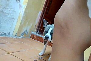 neighbors have no idea im filming homemade porno with curvy latina wife