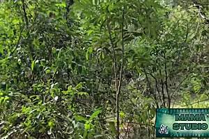 Innocent walk turns mama em into outdoor libertine fuckfest