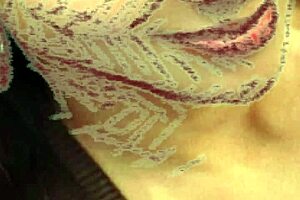 sketching cute asian milf in steamy bedroom sex fantasy scene