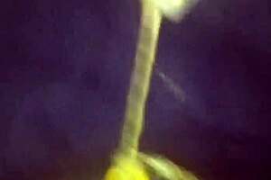 sexy blonde with good hair